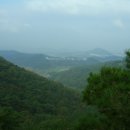 정광산 Daum카페