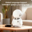 컴패니언 이미지