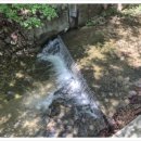 이맛이딱이야 이미지