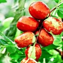 팔마종합상사 이미지