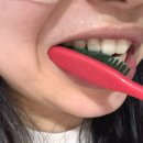 골든크루 - 계양구 까치말로41번길 2 | 출산 후 이 시림 때문에 바꾼 치약 언파차차 골든베리어 후기
