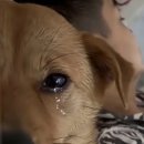 태권도(성인반) 이미지