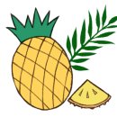 썸레스트 이미지