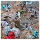 창원 숲탐험대 4월 상세 안내 (김해 분성산 생태숲) 이미지