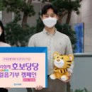 호보당당 이미지