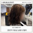 1753 | [안산 중앙역 미용실] 살롱드로웰미 | 키오 디자이너 단발 젤리펌 후기
