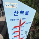 22.8.7 포항~ 울산의 명소 이미지