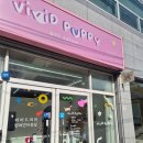 퍼피 비비드 | 전주애견미용 잘하는 비비드퍼피 방문 후기