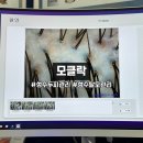 모클락 | 건대 두피관리 모클락 솔직후기