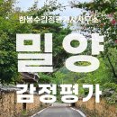 밀양시 산외면 상속세 감정평가