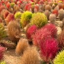 슬도주차장 이미지