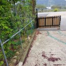 고도민박 이미지