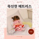 푹신한 침대 매트리스 추천 자취 롤링컴포트 RC4 독립스프링