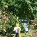 늘푸른세탁 이미지