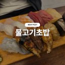 물고기초밥 | 마포구 합정역 초밥 맛집, 물고기초밥 후기