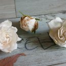 &#39;김민석 임명&#39; 반대한 국민의힘...어이없는 최강욱, 분노의 팩폭 이미지