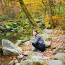 순천만여행 이미지