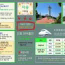 여수연안여객선터미널 이미지