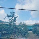 산울림농장 | 수원의 보물 칠보의 보물을 간직한 칠보산행 후기