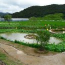 봉화마을길 이미지