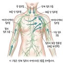 아로마뷰티샾 | 신중동에스테틱ㅣ드레스핏을 완성하는 팔 슬리밍 승모 팔뚝 집중관리