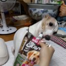 원무역상사 이미지