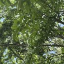 인천남동승마클럽 이미지