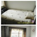 디앤시코리아 이미지