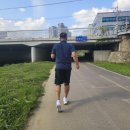 파워헬스 | MSM 리커버리 크림 파워풀엑스 헬스, 러닝 운동 전후 사용후기