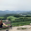 늘푸름목장 이미지