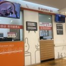 나은메디칼빌딩 | 임신 35주차) 분당차병원 막달검사 후기 + 자연분만 제왕절개 입원 전 안내사항, 준비물품, 면회 시간 정보