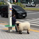 상상의원 | 상상만큼 쉬운 다이어트 지방분해주사의원 2회차 후기