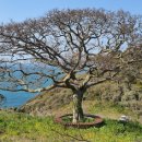 둥구민박 이미지