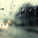 금강산칼국수 이미지