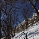 소나무 황토빌 이미지