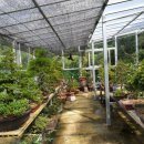 금산분재펜션 이미지