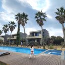 제주올리브스파앤풀빌라 이미지