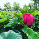 은한의원 이미지