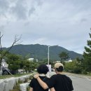 지호카센타 이미지