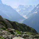 아기염소 이미지