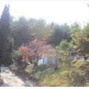 향호1리 이미지