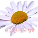 건국꽃차문화협회