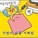 정다함 이미지