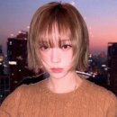 토스트하루