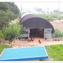 삼례토종닭 이미지