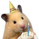 소사로808번길 이미지