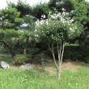 대덕동산 이미지