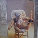 컴페니온 이미지