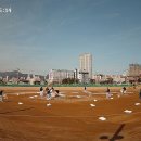 마동 임시야구장 Daum카페