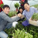 부농농장 이미지